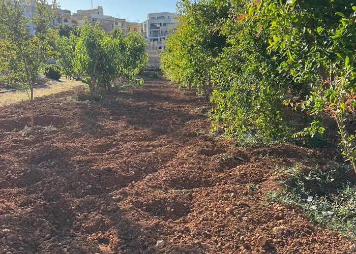 Apartament Hal Wardija